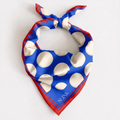 Blue & Red Polka Dot Silk Scarf Medium